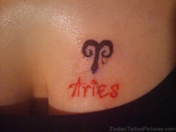 Aries Tattoos for Women on Chest