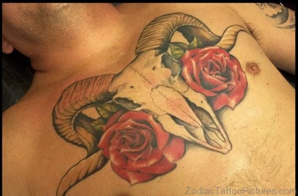 Rose Aries Tattoo On Chest