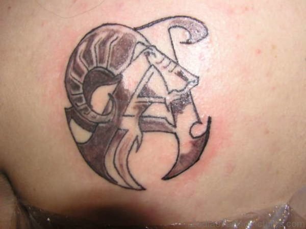Zodiac Tattoo design On Back 
