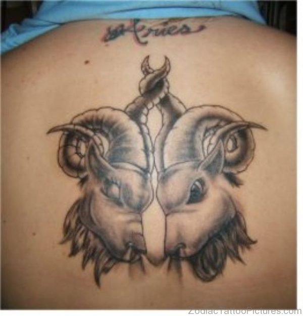 Zodiac Tattoo 