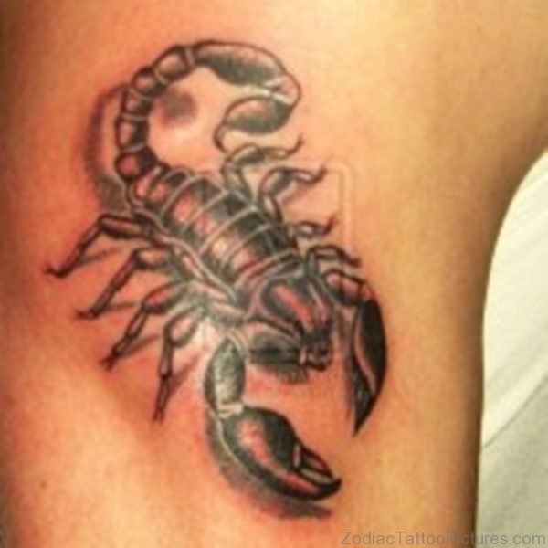 3D Scorpion Tattoo On Back