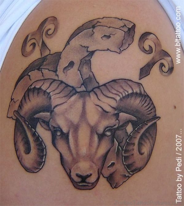 Adorable Aries Shoulder Tattoo Design 