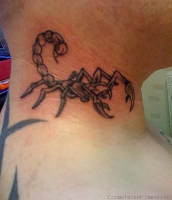 Attractive Scorpion Tattoo