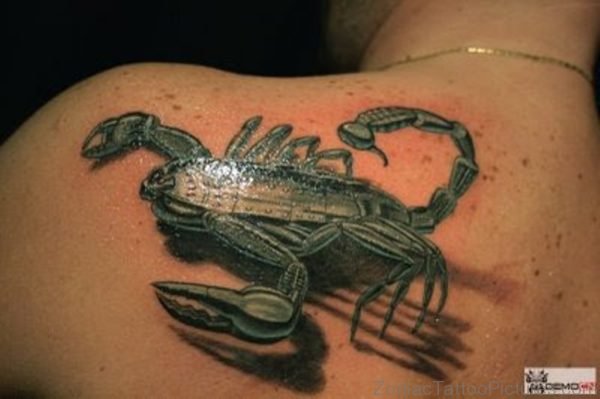 Attractive Scorpion Tattoo On Back