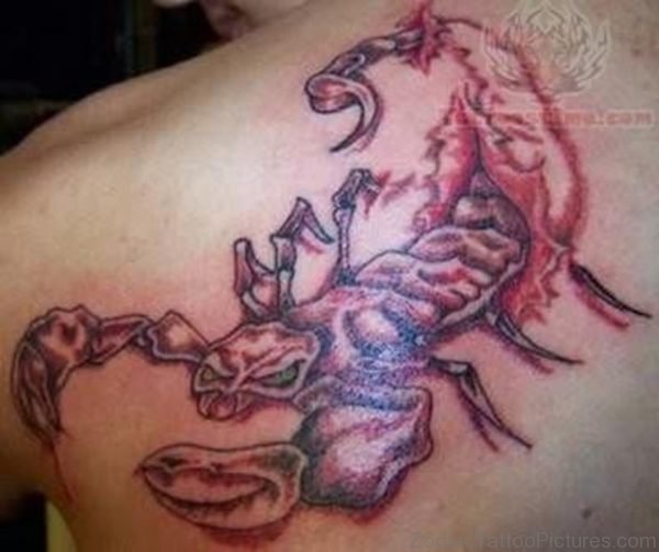 Awesome Scorpion Tattoo On Back