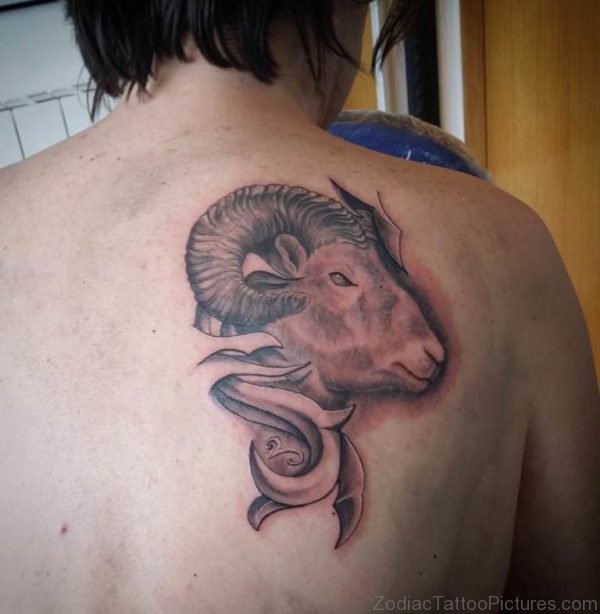 Beautiful Aries Tattoo On Shoulder Back 