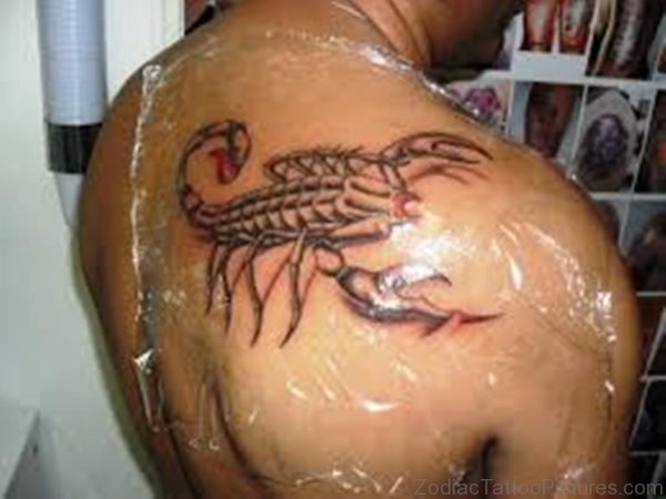 Beautiful Scorpion Tattoo Design