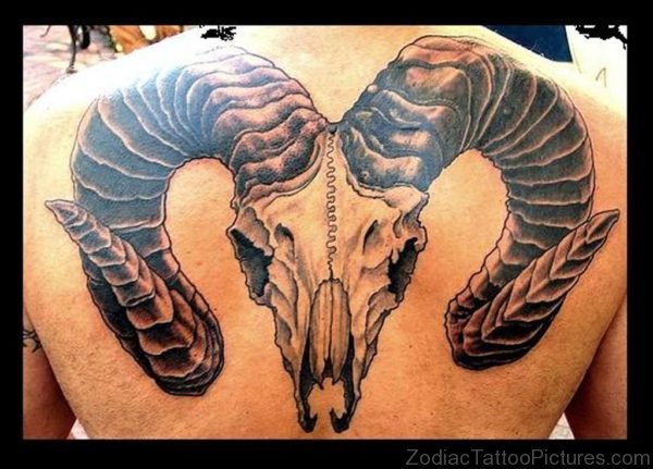 Big Aries Tattoo On Back