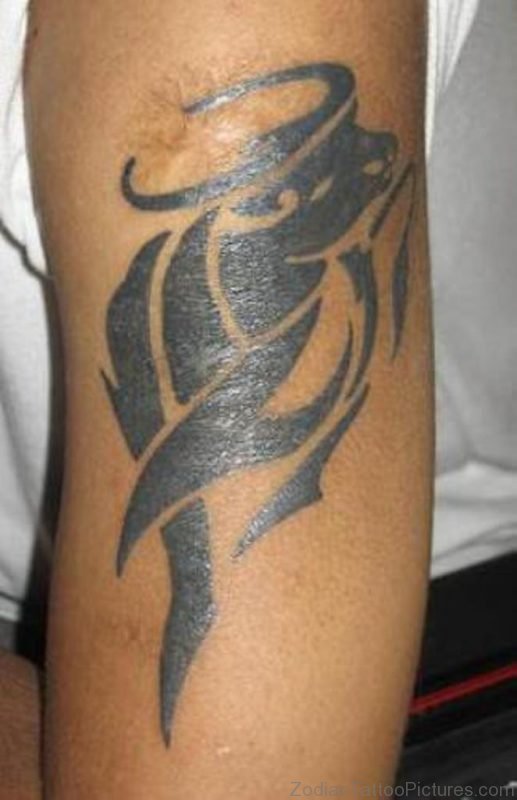 Black Taurus Tattoo