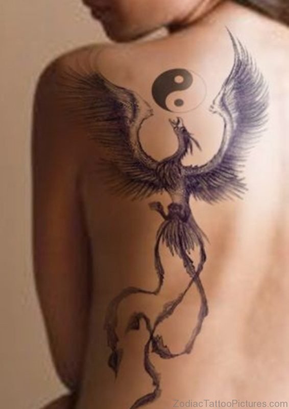 Dragon Yin Yang Tattoo On Shoulder Back 