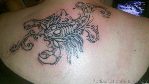 Fantastic Scorpion Tattoo On Back