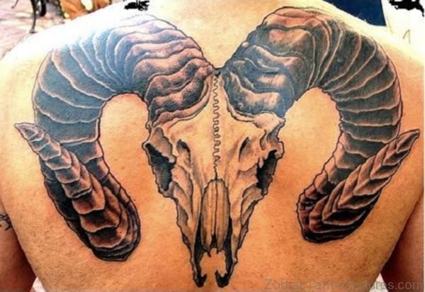 Great Aries Tattoo On Back