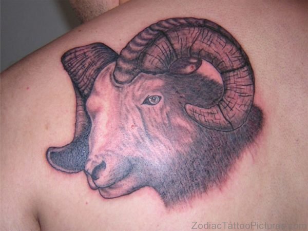 Grey Ink Aries Shoulder Tattoo 