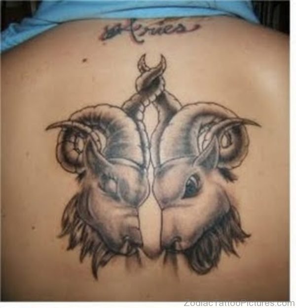 Grey Ink Aries Tattoo Design