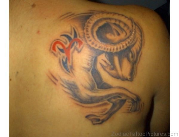 Lovely Aries Shoulder Tattoo 