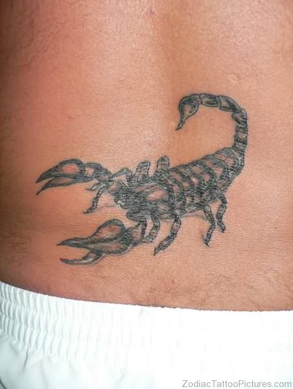 Magnificant Scorpion Tattoo Design