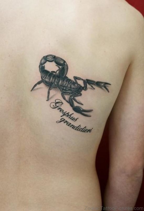 Nice Scorpion Tattoo On Right Back