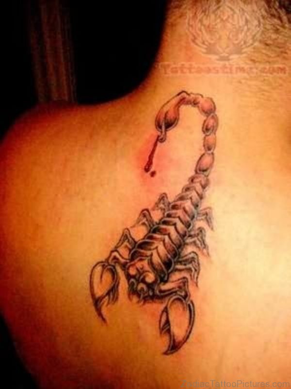 Outstanding Scorpion Tattoo Design