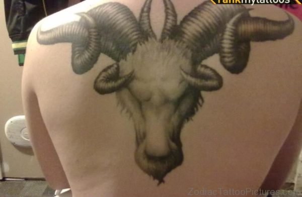 Pretty Aries Tattoo On Back