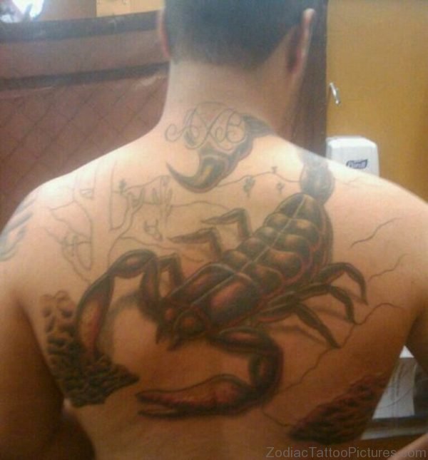 Scorpion Back Tattoo Design