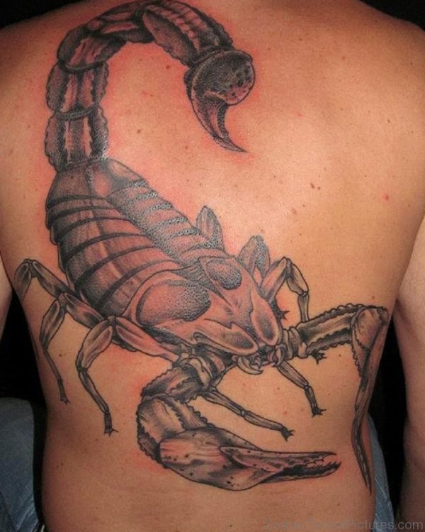 Scorpion Tattoo Design On Full Back
