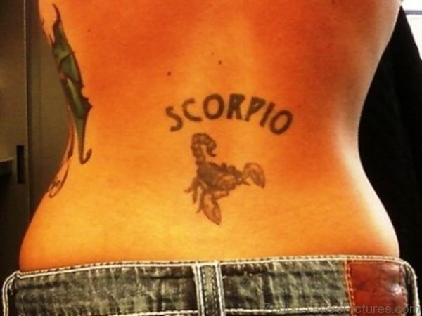 Scorpion Tattoo Design On Lower Back