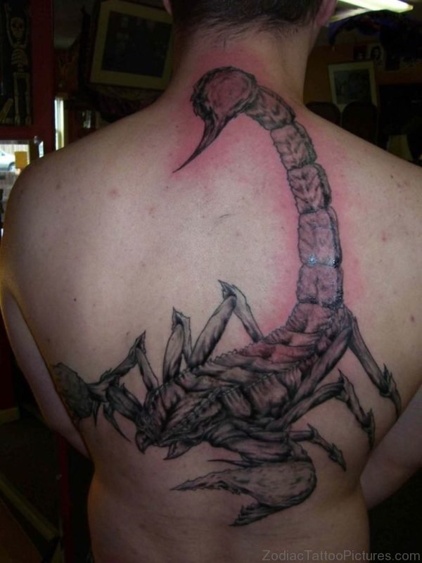 Scorpion Tattoo On Full Back
