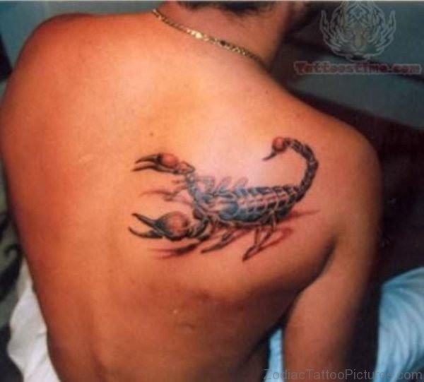 Scorpion Tattoo On Right Back