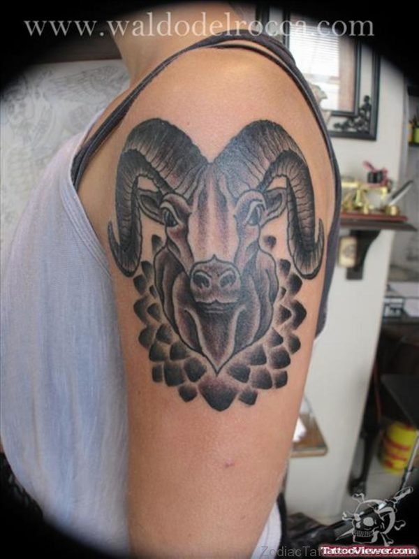Sweet Aries Shoulder Tattoo 