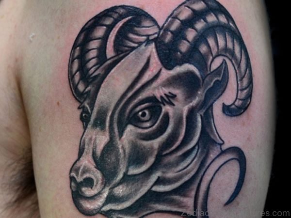 Sweet Aries Tattoo On Left Shoulder 