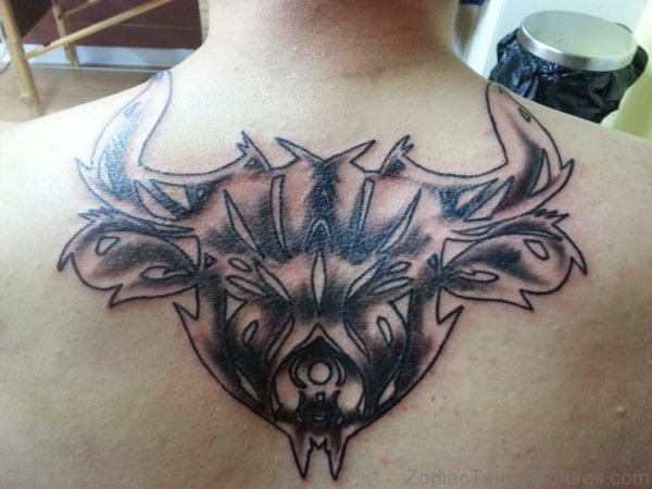 Taurus Tattoo Design On Back