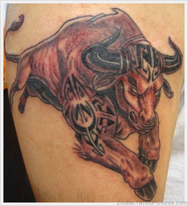 Taurus Tattoo For Shoulder