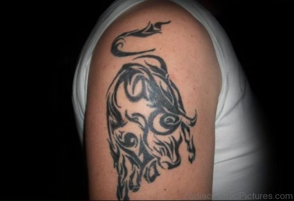 Tribal Taurus Bull Tattoo On Right Bicep