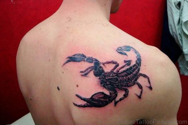 Wonderful Scorpion Tattoo On Back
